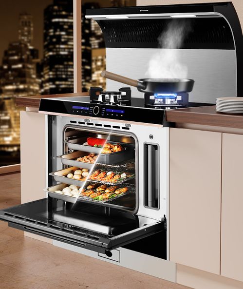 烹飪小白也能玩轉(zhuǎn)廚房 火星人e5bc01大師級(jí)技術(shù)